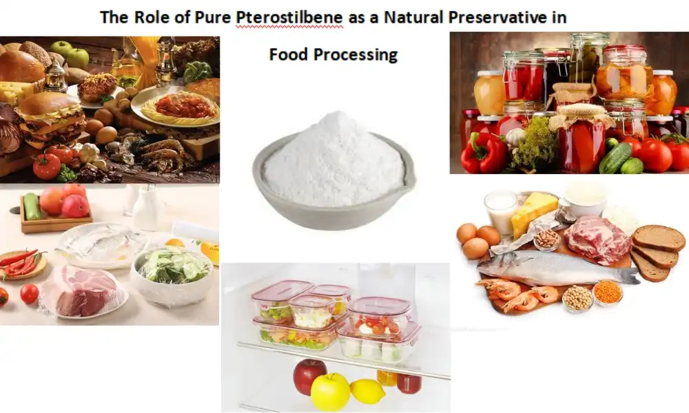 The Role of Pure Pterostilbene as a Natural Preservative in Food Processing